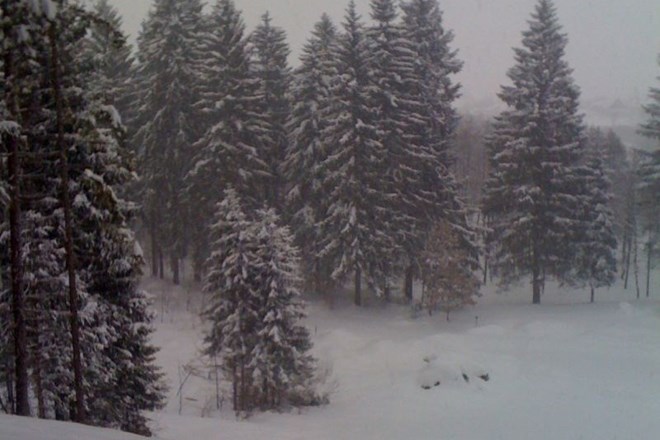 Fotogalerija: V zadnjih dveh dneh sneg zasul Kočevsko