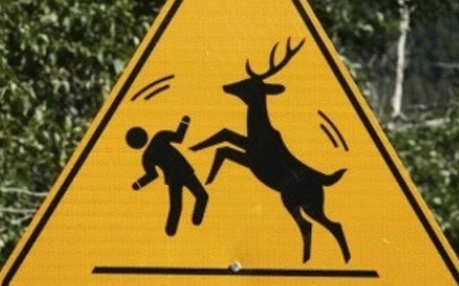 Znak v Alberti v Kanadi, ki obiskovalce opozarja, naj se nikar preveč ne približujejo lokalni divjadi.