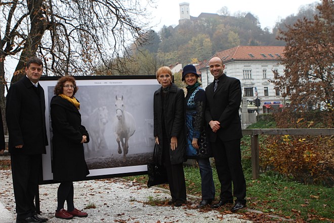 Predstavitve razstave so se poleg avtorice Alenke Slavinec (druga z desne) udeležili tudi najvišji predstavniki Kobilarne...