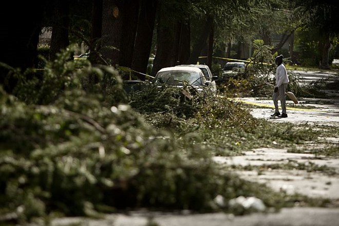Foto: Po zahodu ZDA divjajo viharji, ki ruvajo drevesa in prevračajo tovornjake