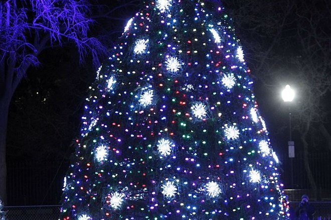 Foto: Ameriška prva družina je prižgala lučke na božičnem drevesu