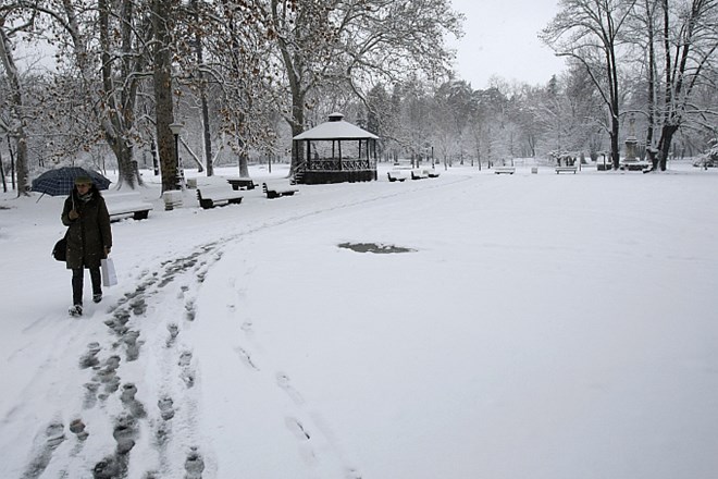Tudi Srbija se pripravlja na oster mraz v prihodnjih dneh.