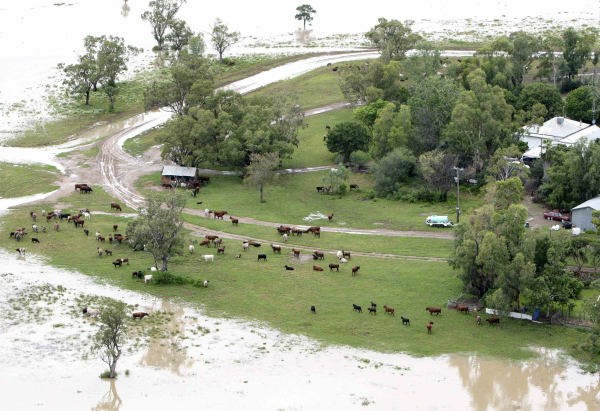 Poplave v Avstraliji: Več tisoč ljudi je moralo zapustiti svoje domove