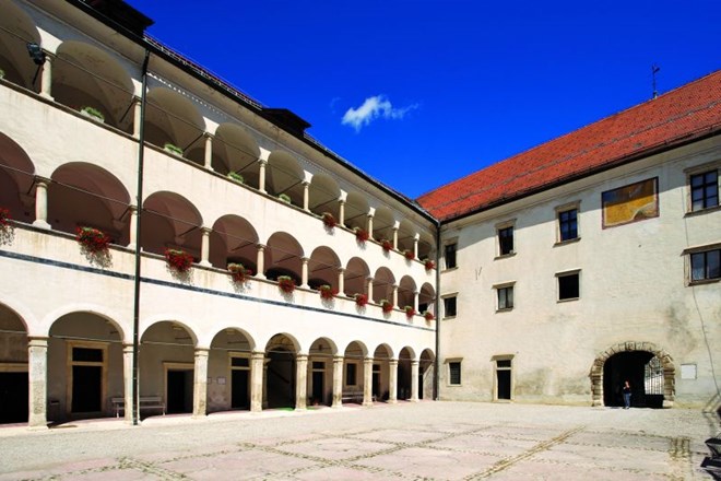 Odkrivanje slovenskih dvorcev za širok krog bralcev in nedeljske izletnike