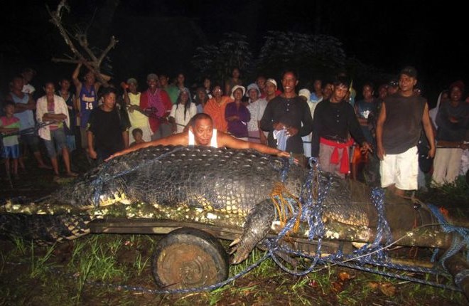Na Filipinih živi Lolong, največji krokodil v ujetništvu