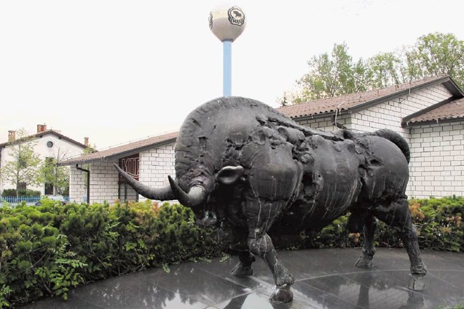 Boljkov bronasti bik še vedno vztraja pred proizvodnimi prostori nekdanjega ponosa slovenske mesarske industrije.