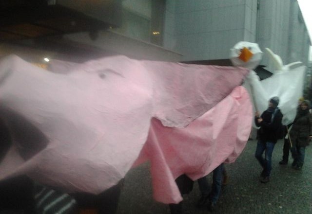 Protestirat sta prišla tudi pujsek in kokoš. (Foto: Aleš Gaube) 