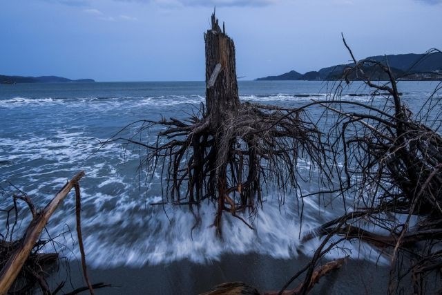 Avstralski fotograf, ki dela za Getty Images, Daniel Berehulak  je pozornost žirije vzbudil s serijo slik »Japonska po valu«....