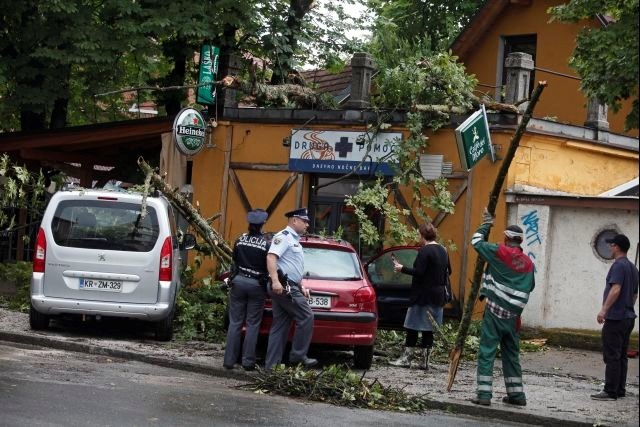 V Ljubljani je drevo padlo na avto. 