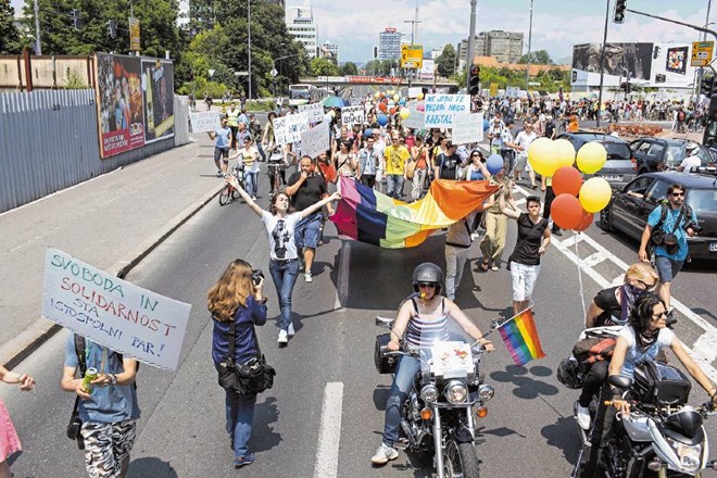 Že trinajste parade ponosa, ki je letos potekala pod geslom  Svoboda in solidarnost sta istospolni par, se je v soboto...