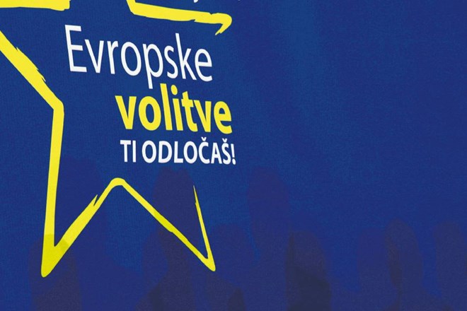 Evropski poslanci iz Slovenije si želijo še en mandat