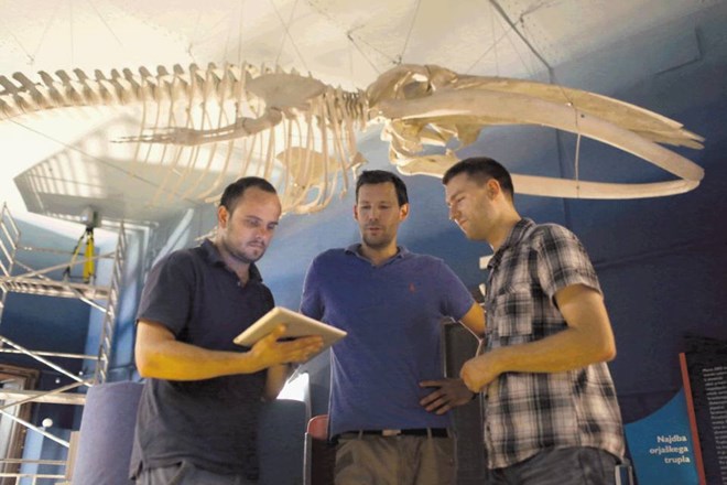 Ekipo, ki bo izvedla  3D-lasersko skeniranje okostja kita v Prirodoslovnem muzeju, sestavljajo (z leve proti desni) Gregor...