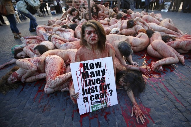 Šokanten protest proti uporabi živlaskih kožuhov za izdelavo oblek (foto)