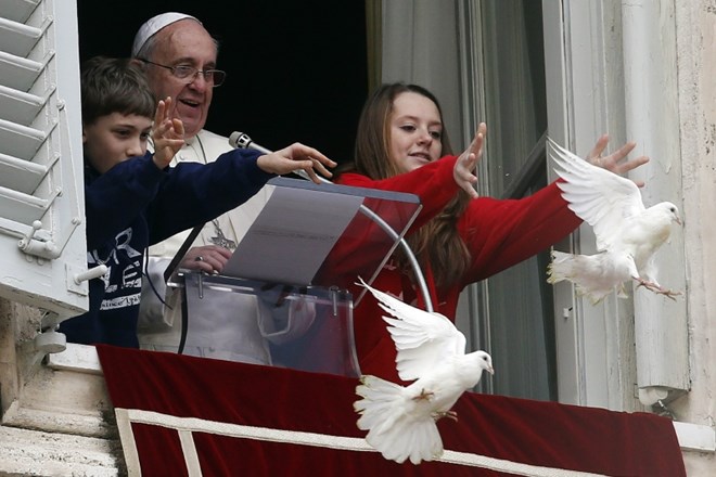 Zopet slabo znamenje za mir: goloba miru v Vatikanu napadla vrana in galeb