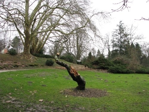 V Arboretumu kljub odpravljanju škode po žledolomu že živahno
