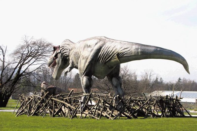 V Arboretumu je od danes do 10. junija na ogled 65 mogočnih dinozavrov. 