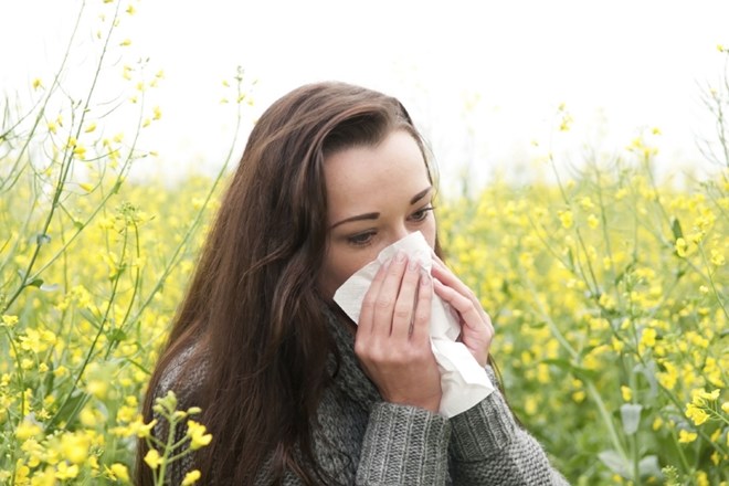 Sedem namigov za lajšanje spomladanskih alergij  