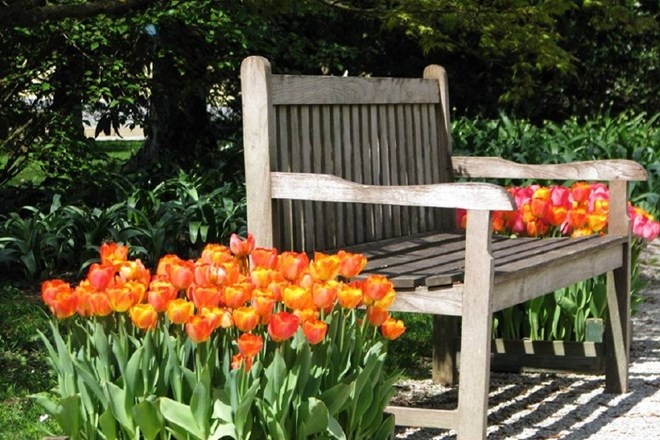 Arboretum med cvetočimi tulipani odpira indonezijski paviljon  