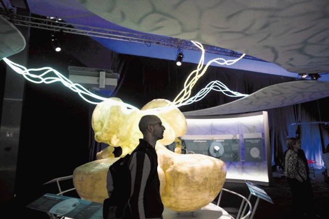 Avtorji razstave si želijo, da bi obiskovalci med interakcijo z eksponati opazili, kako se nanje odzivajo njihovi možgani. 
