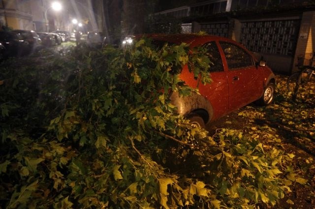 Veter, toča, padajoča drevesa: Nevihte v Nemčiji terjale šest življenj (foto)