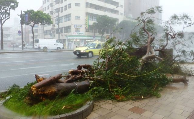 Tajfun na Japonskem podiral drevesa, odkrival strehe in prekinil promet (foto in video)