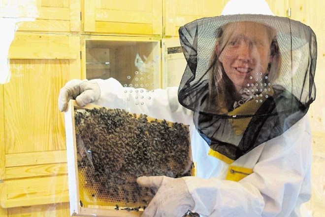 Čebelarka Maja Kokove Hrovat je na obrobju Bovca odprla apiterapevtski čebelnjak, v katerem lahko obiskovalci skozi masko...