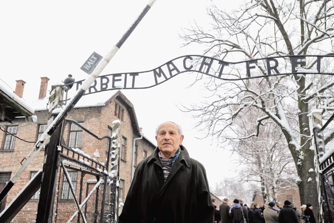 Američan Mordechai Ronen je eden od tistih, ki so uspešno kljubovali grozotam za bodečo žico taborišča Auschwitz. Na današnji...
