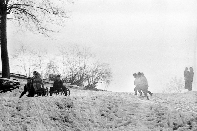 Zime, bogate s snegom, so v 20. stoletju v tivolski park privabile številne sankače. Urejeni sta bili dve sankaški progi,...