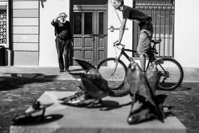 Fotoreportaža: Ljubljanica – tok življenja skozi mesto