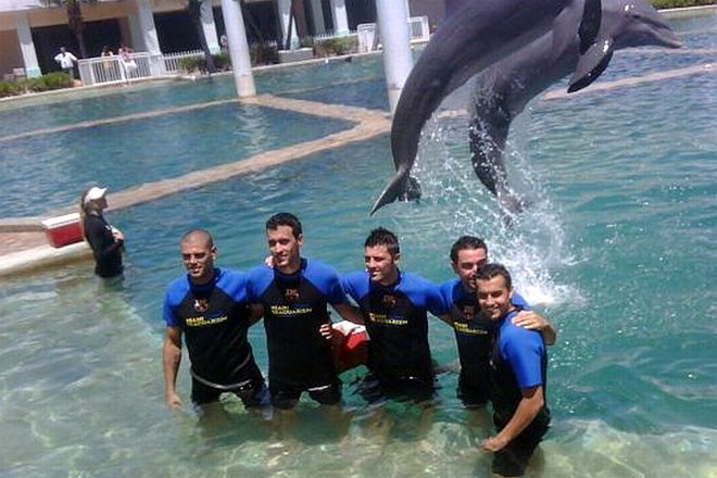 Valdes, Busquets, Villa, Xavi in Pedro so uživali v družbi delfinov.