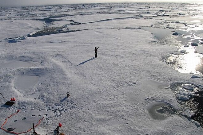 V Arktičnem morju poleti znova rekordno taljenje ledu