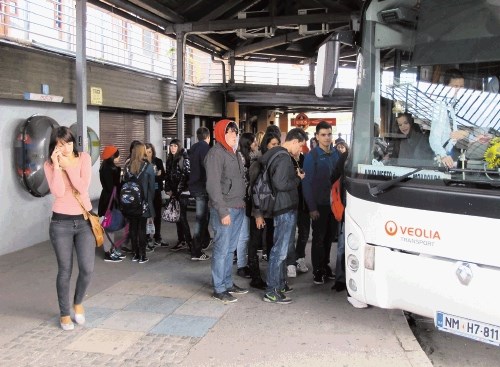 Javni potniški promet v Novem mestu in okolici sloni predvsem na prevozu šolarjev in dijakov v šole.  Da bi se z avtobusi  na...