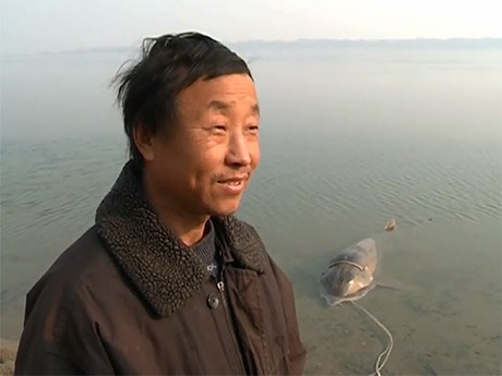 Neverjetno: Kitajec ujel 207 kilogramov težko ribo