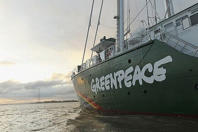 Greenpeace je Kanado pozval k omejitvi proizvodnje in uporabe lesne biomase