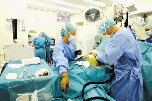 Letos so največ denarja, nekaj več kot 2 milijona evrov, z nacionalnim razpisom namenili za operacije hrbtenice.