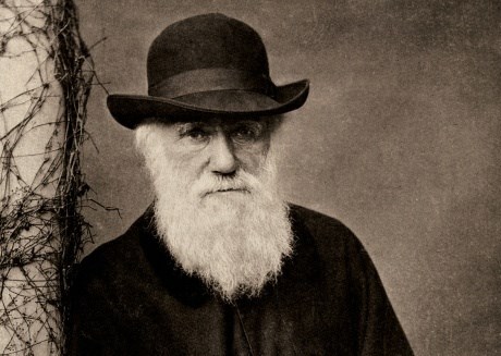 Charles Darwin, utemeljitelj teorije o evoluciji.