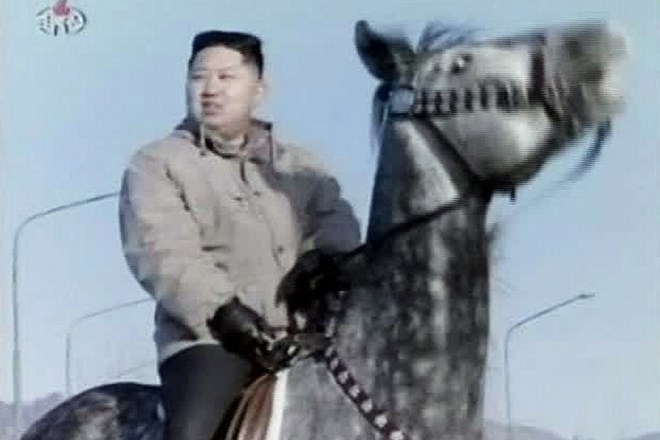 Kim Jong-un po mnenju njgovega brata ni sposoben voditi države.