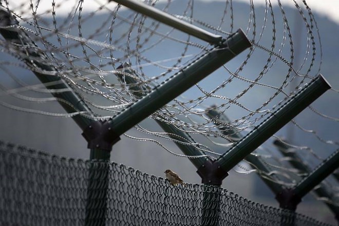 Bičanje z električnimi kabli in pretepanje: Libijski zaporniki zopet poročajo o mučenju