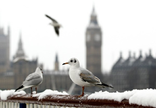 Zima je zajela tudi Veliko Britanijo, na letališču Heathrow odpovedali že 380 poletov.