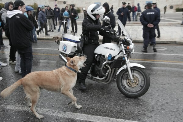 Pes laja na policista med protesti v Atenah.