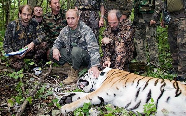 Vladimir Putin je pred štirimi leti takole poziral z ubogo živaljo, ki naj bi po trditvah okoljevarstvenikov pozneje...