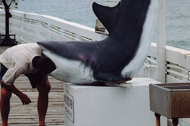 Hrvaški ribič pri Kornatu ujel 150-kilogramskega morskega psa