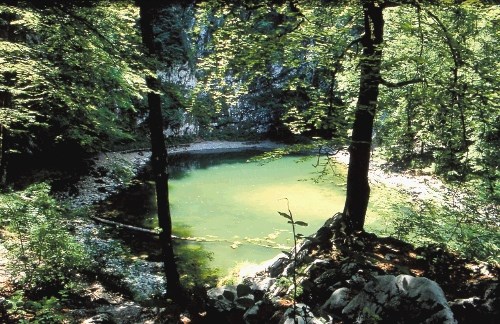 Divje jezero, ena največjih posebnosti idrijskega Geoparka,  praznuje 40-letnico prvega muzeja na prostem v Sloveniji.