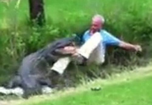 Skušal pomagati krokodilu, ta pa mu je hotel pohrustati roko
