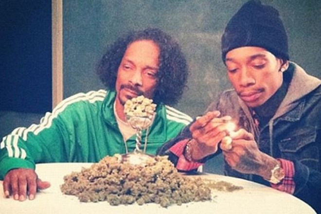 Če bi imel pri sebi toliko ''trave'', kot je ima na sliki, je Snoop verjetno ne bi tako poceni odnesel.