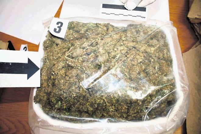 Pri dveh albanskih državljanih so skupaj zaplenili kar 23 kilogramov marihuane.