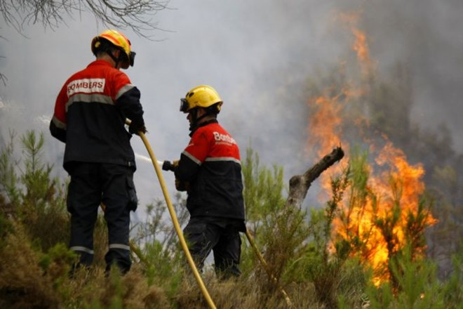 Gozdni požar v Španiji.