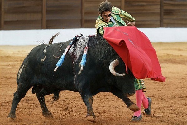 Španska konservativna vlada po šestih letih prepovedi ponovno uvaja predvajanje bikoborb po javni televiziji.