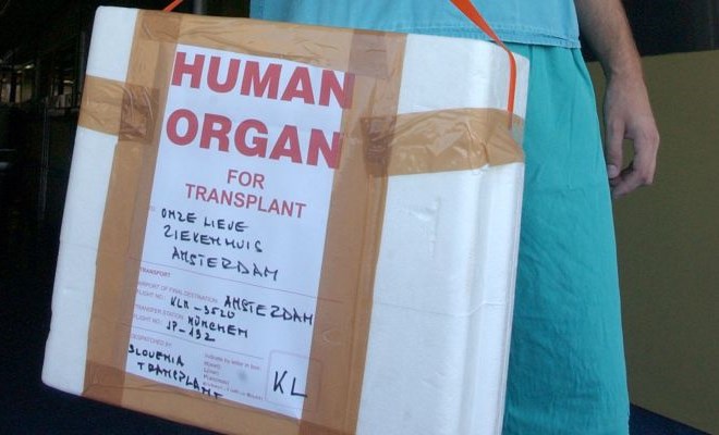 Nikolić izrazil srbsko podporo raziskavi o trgovini z organi