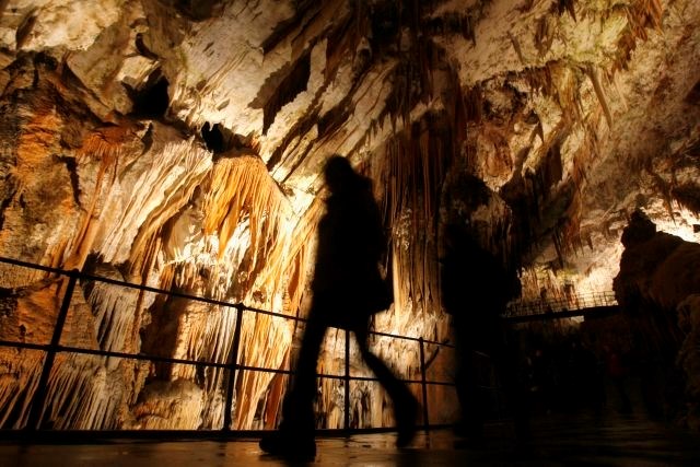 Postojnsko jamo obiskujejo že 800 let. (foto: Bojan Velikonja) 